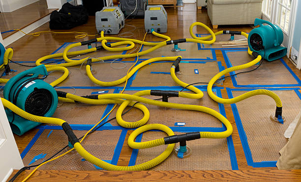 Professional Water Damage Restoration technician working in Salem, VA